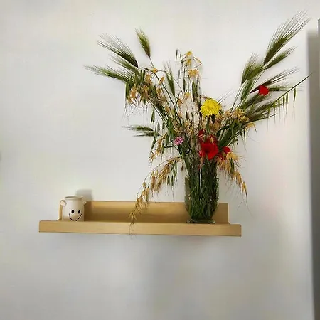 Da Mimma Di Casa Camilla Journey