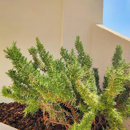 Da Mimma Di Casa Camilla Journey *